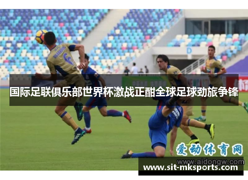 国际足联俱乐部世界杯激战正酣全球足球劲旅争锋 国际足联俱乐部世界杯激战正酣全球足球劲旅争锋